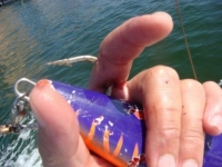 fishing hook on hand